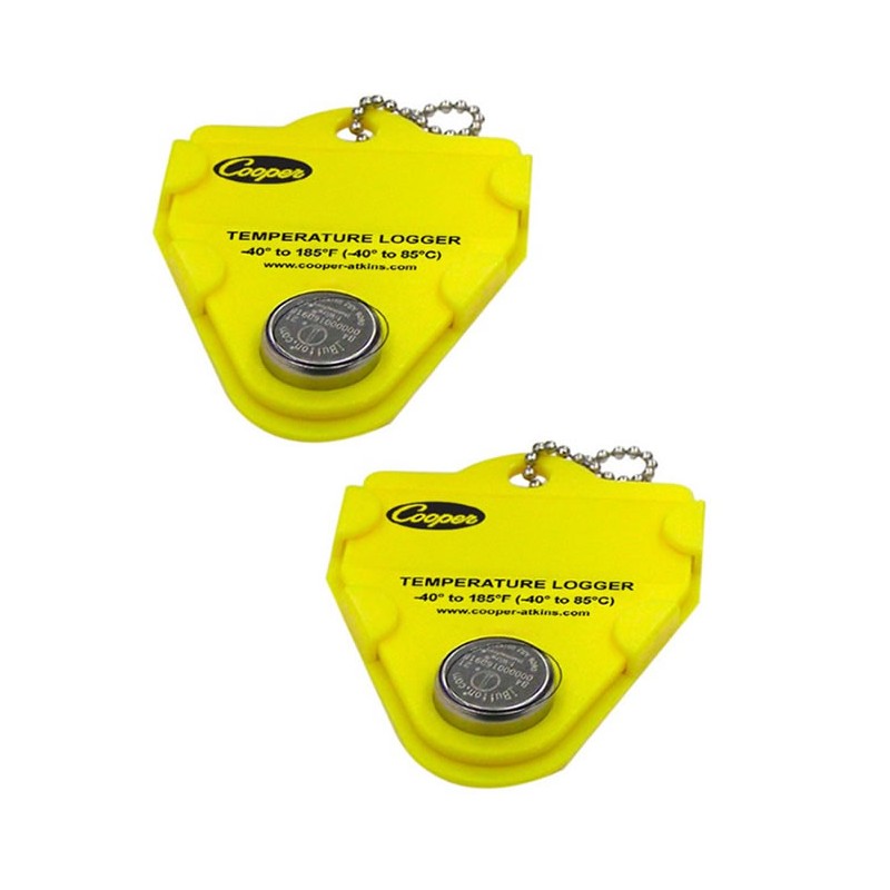 Jeu de 2 pastilles pour thermomètre GL100 Jeu de 2 pastilles pour thermomètre GL100